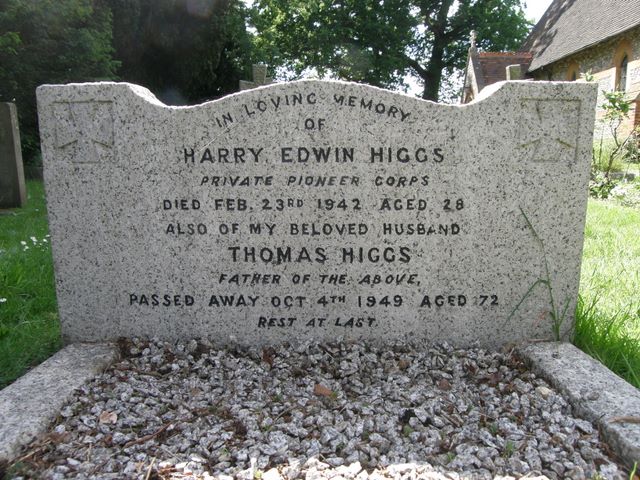 HIGGS