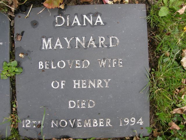 MAYNARD