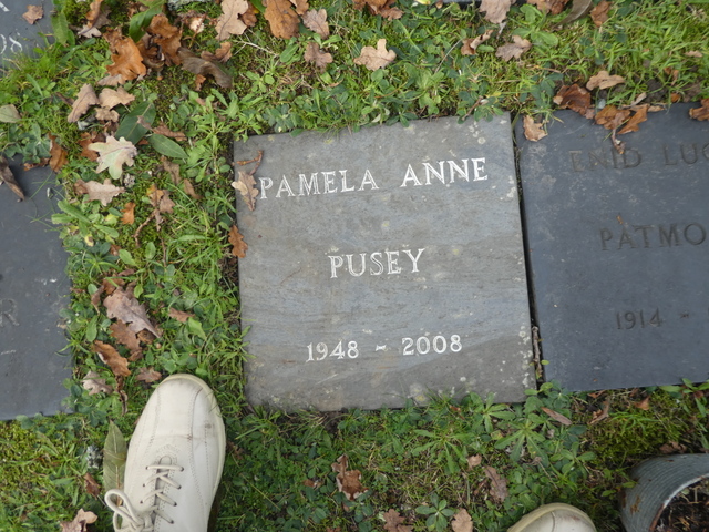 PUSEY