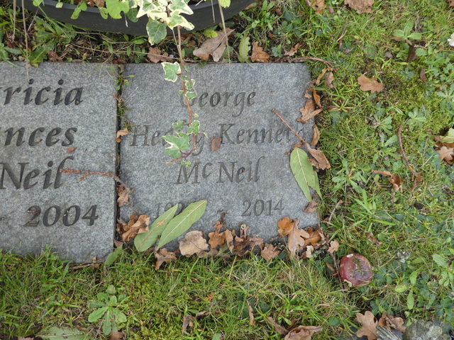 McNEIL