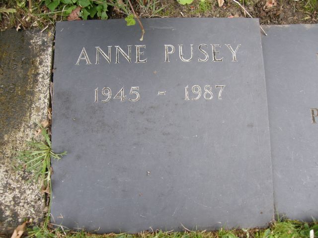 PUSEY