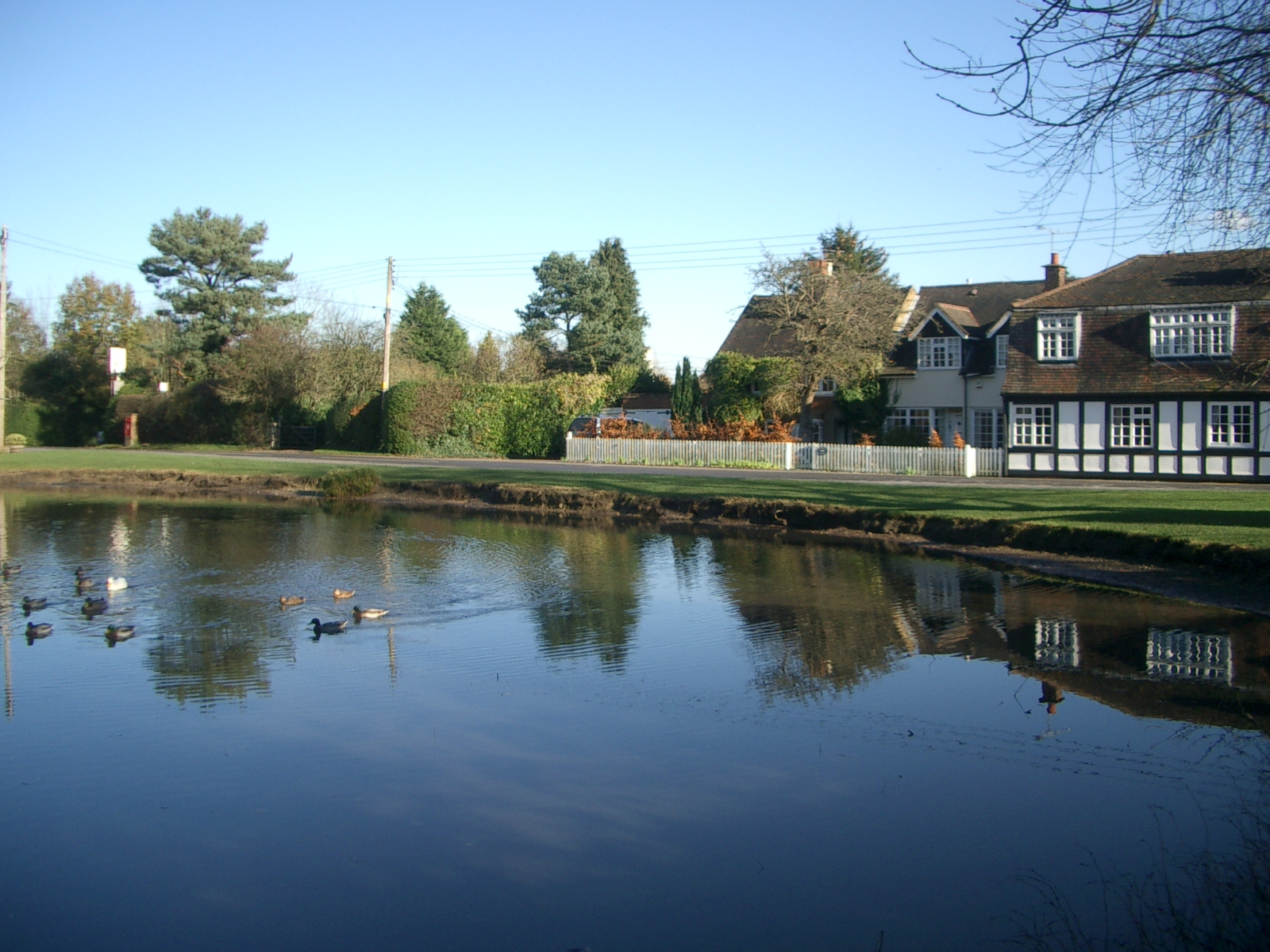 village pond